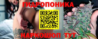 бошки Можга