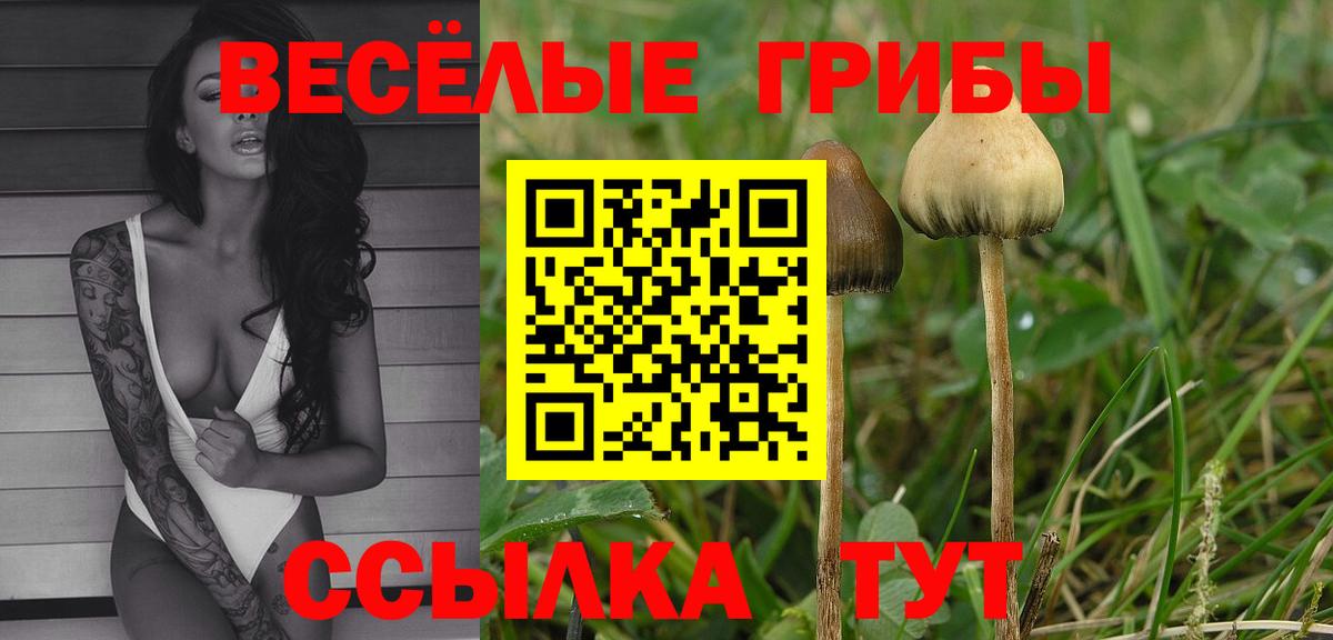 Топки  наркотики  Вход с VPN  Галлюциногенные грибы Psilocybine cubensis 